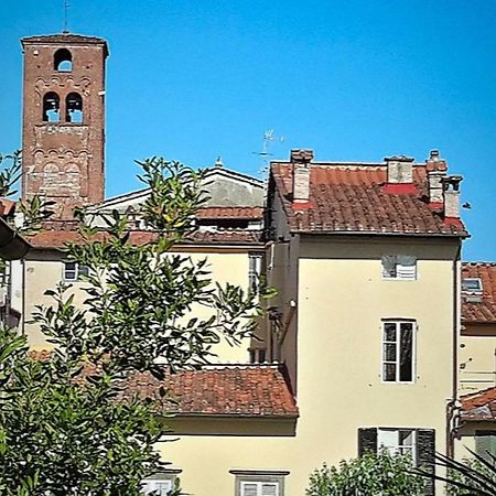 La Butterfly Guest Apartment Lucca Esterno foto